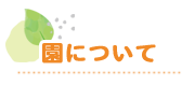 ɂ